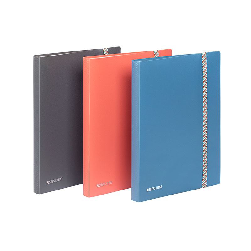 Portes-vues 120 vues Viquel Business Class Modèle aléatoire